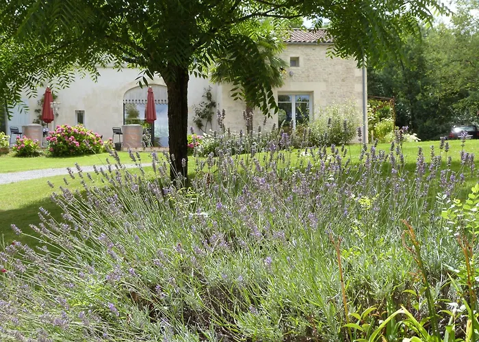 Le Logis De La Brumanderie - Saintes