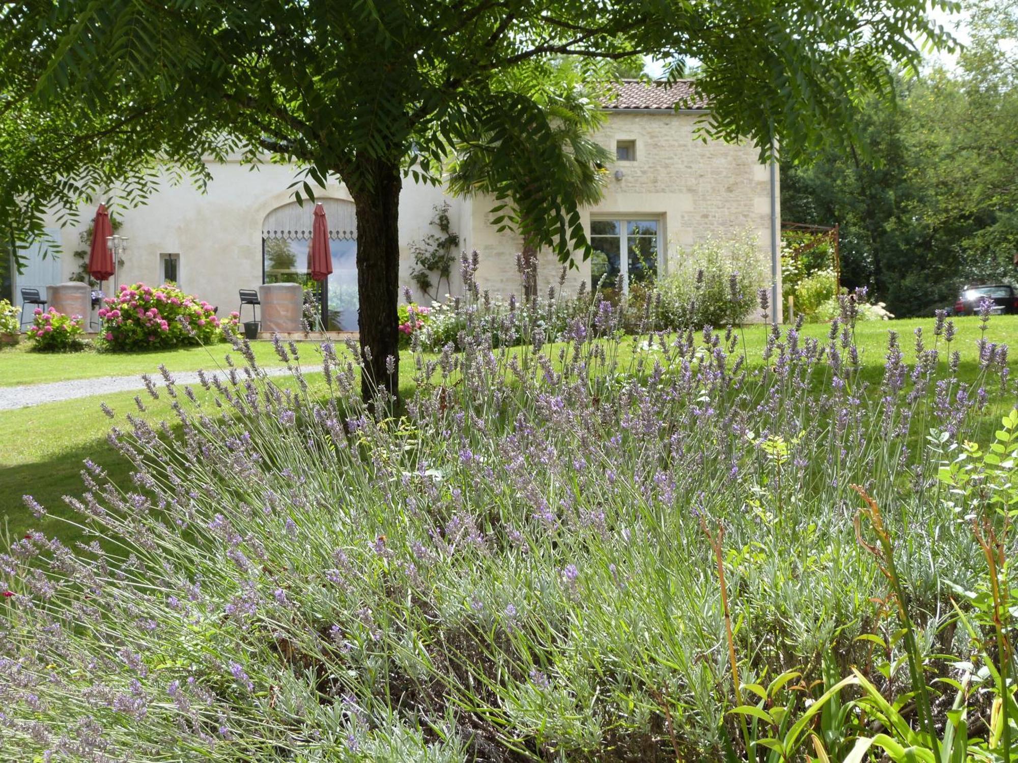Le Logis De La Brumanderie - Saintes 3*
